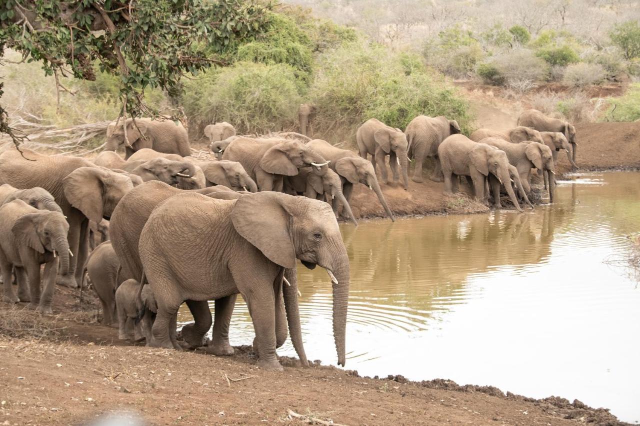Mavela Game Lodge Mkuze Экстерьер фото