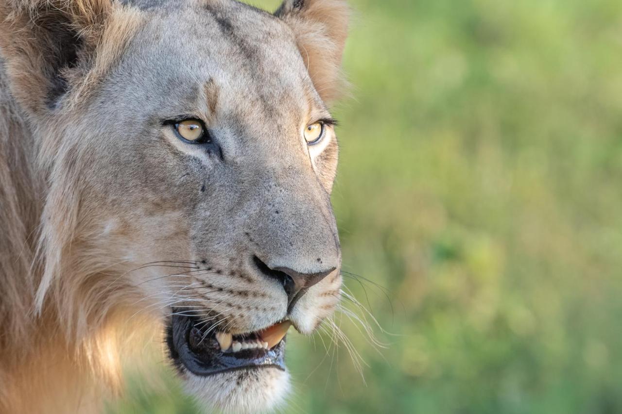 Mavela Game Lodge Mkuze Экстерьер фото