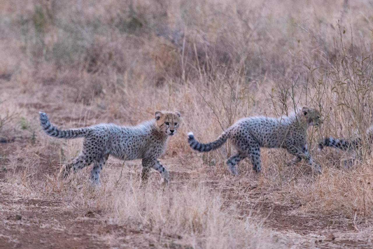 Mavela Game Lodge Mkuze Экстерьер фото