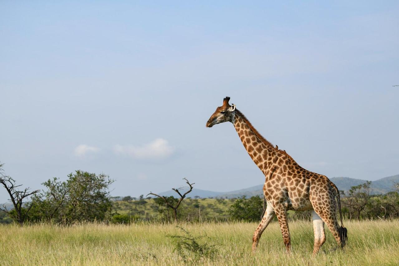 Mavela Game Lodge Mkuze Экстерьер фото